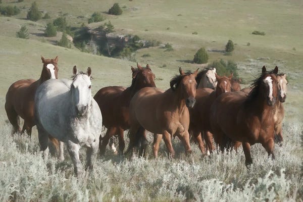 Rhonda Thompson: The Gang 1 by Rhonda Thompson