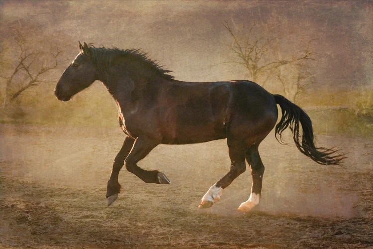 The Running Horse