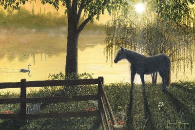 Hoss by Richard Harpum metal wall art