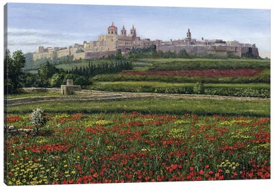 Mdina Poppies, Malta Canvas Art Print - Castle & Palace Art