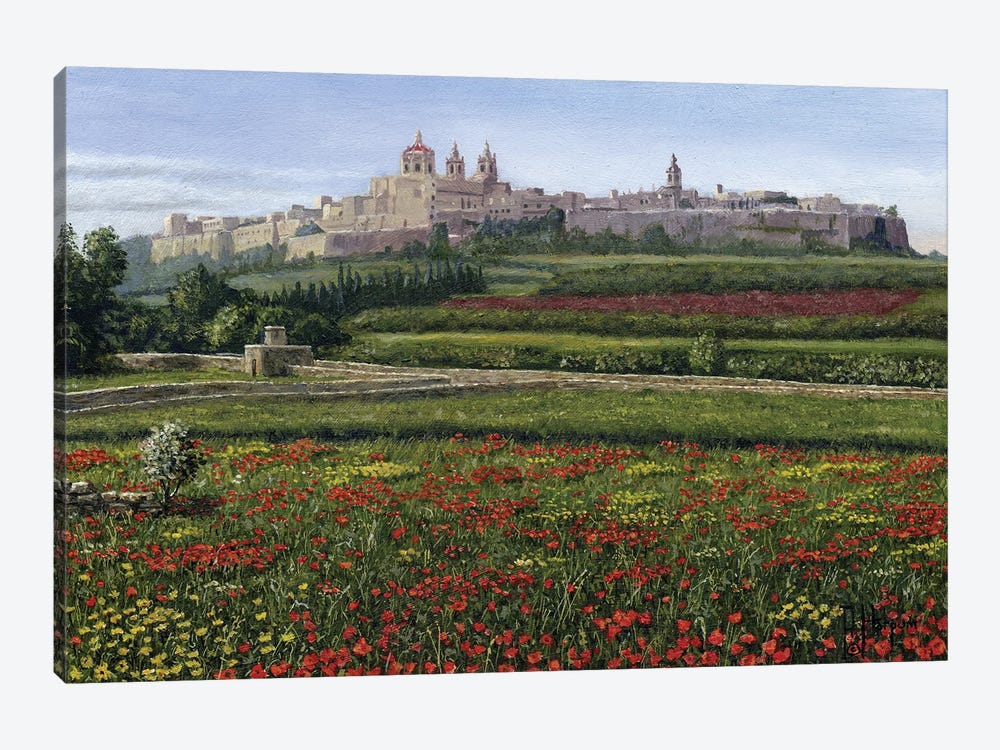 Mdina Poppies, Malta by Richard Harpum 1-piece Canvas Art