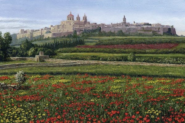 Poppies: Mdina Poppies, Malta by Richard Harpum