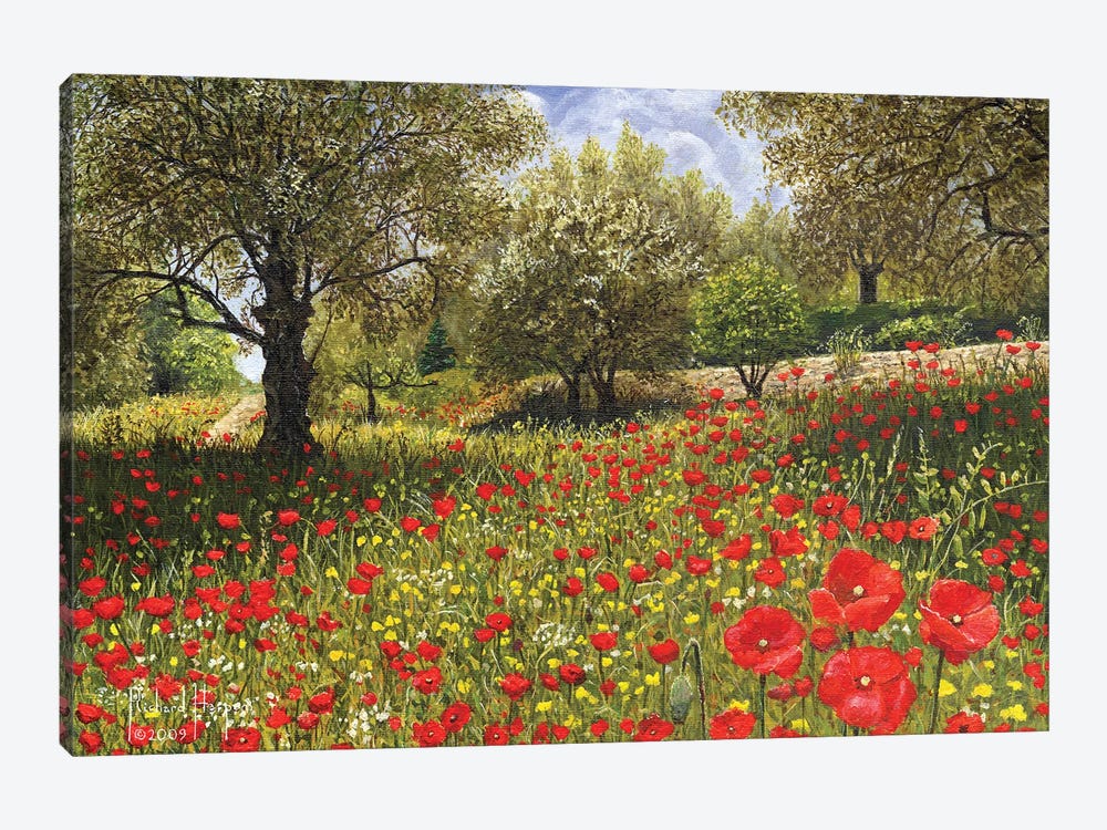 Andalucian Poppies by Richard Harpum 1-piece Canvas Artwork