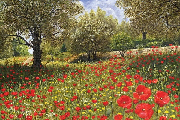Poppies: Andalucian Poppies by Richard Harpum