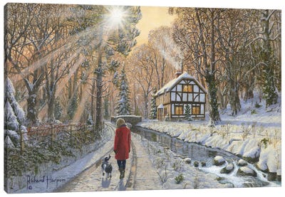 Winter Woodland Canvas Art Print - Richard Harpum