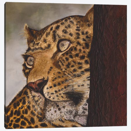 Leopard II Canvas Print #RHY11} by Russell Hinckley Canvas Artwork