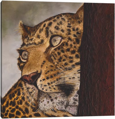 Leopard II Canvas Art Print - Russell Hinckley