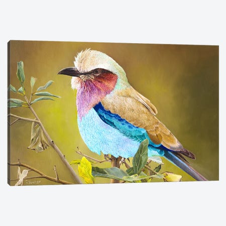 Lilac Breasted Roller Canvas Print #RHY12} by Russell Hinckley Canvas Wall Art