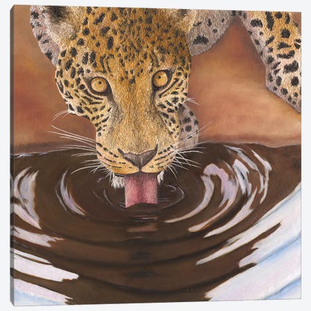 Leopard Drinking Canvas Print #RHY13} by Russell Hinckley Canvas Art