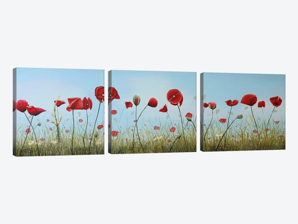 Poppies II by Russell Hinckley 3-piece Art Print
