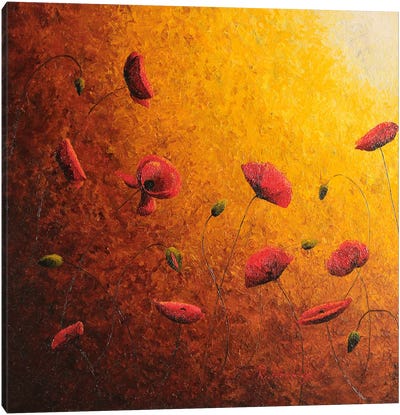 Poppies In Golden Sun II Canvas Art Print - Russell Hinckley
