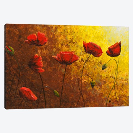 Poppies In Golden Sun Canvas Print #RHY17} by Russell Hinckley Canvas Art Print