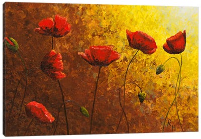 Poppies In Golden Sun Canvas Art Print - Russell Hinckley