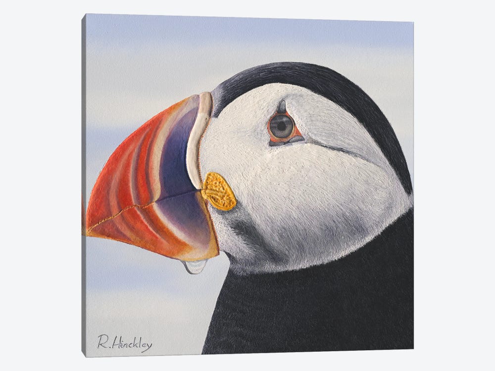 Puffin by Russell Hinckley 1-piece Canvas Artwork