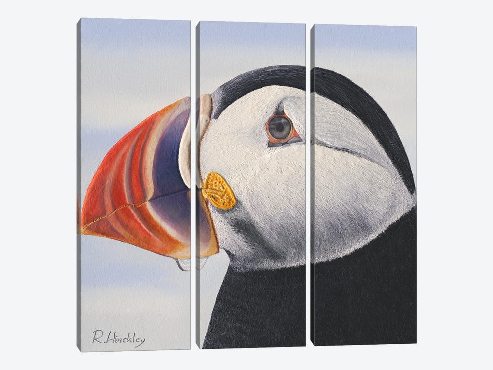 Puffin by Russell Hinckley 3-piece Canvas Art