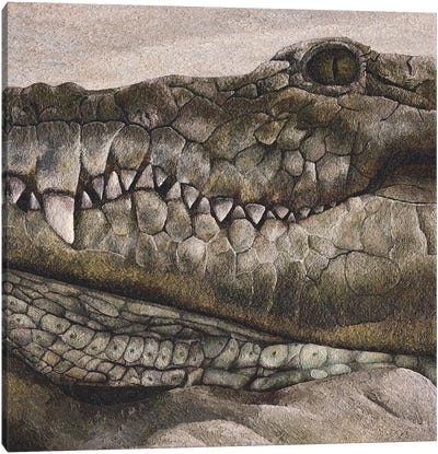 Crocodile Canvas Art Print - Russell Hinckley