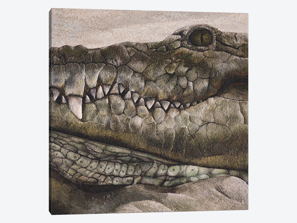 Crocodile by Russell Hinckley 1-piece Canvas Artwork