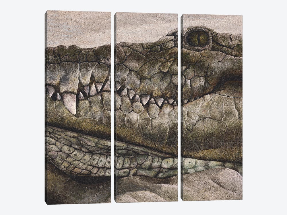Crocodile by Russell Hinckley 3-piece Canvas Art