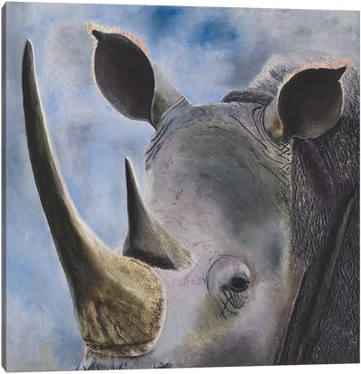 Rhino Canvas Art Print - Russell Hinckley