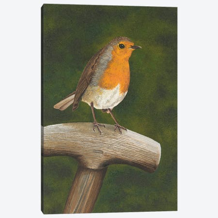 Robin, The Gardners Friend Canvas Print #RHY21} by Russell Hinckley Canvas Art Print
