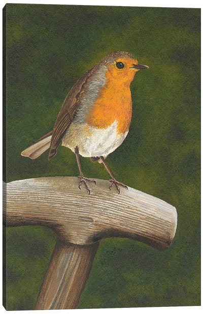 Robin, The Gardners Friend Canvas Art Print - Russell Hinckley