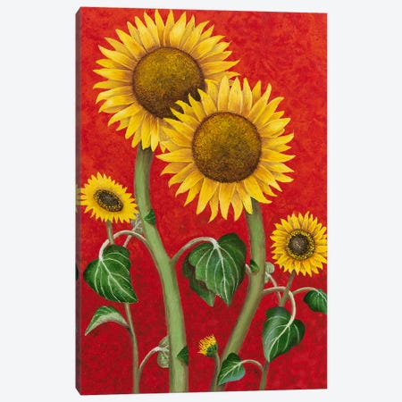 Sunflower Family Canvas Print #RHY25} by Russell Hinckley Canvas Artwork