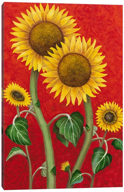 Sunflower Family Canvas Art Print - Russell Hinckley