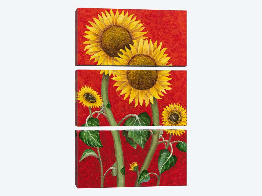 Sunflower Family by Russell Hinckley 3-piece Canvas Artwork