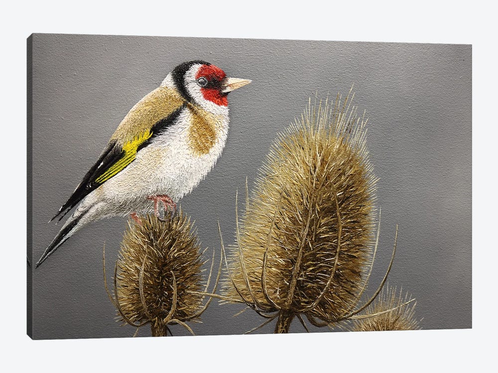 The Goldfinch by Russell Hinckley 1-piece Canvas Print