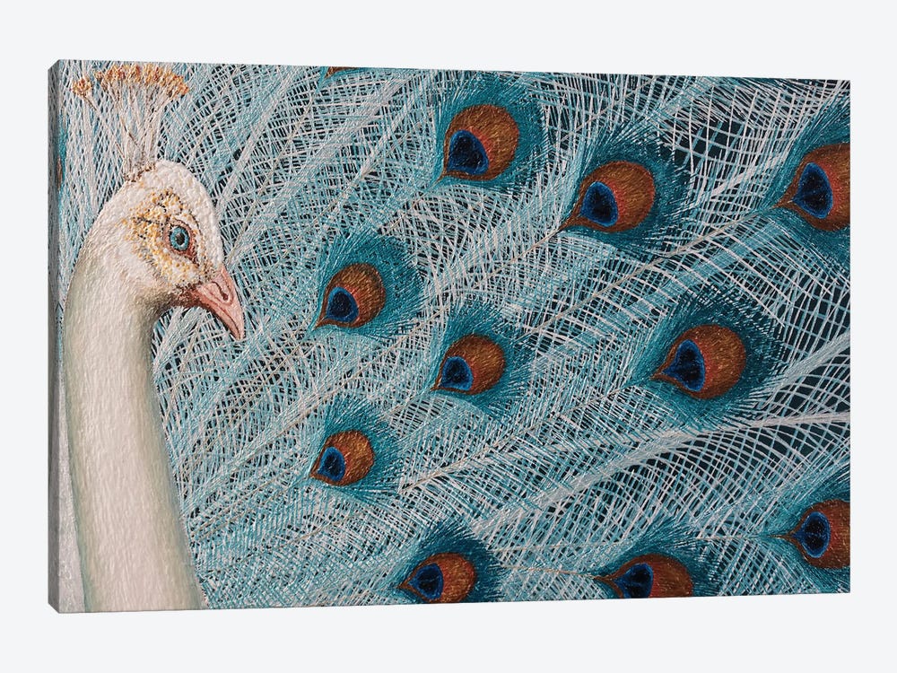 White Peacock by Russell Hinckley 1-piece Canvas Artwork
