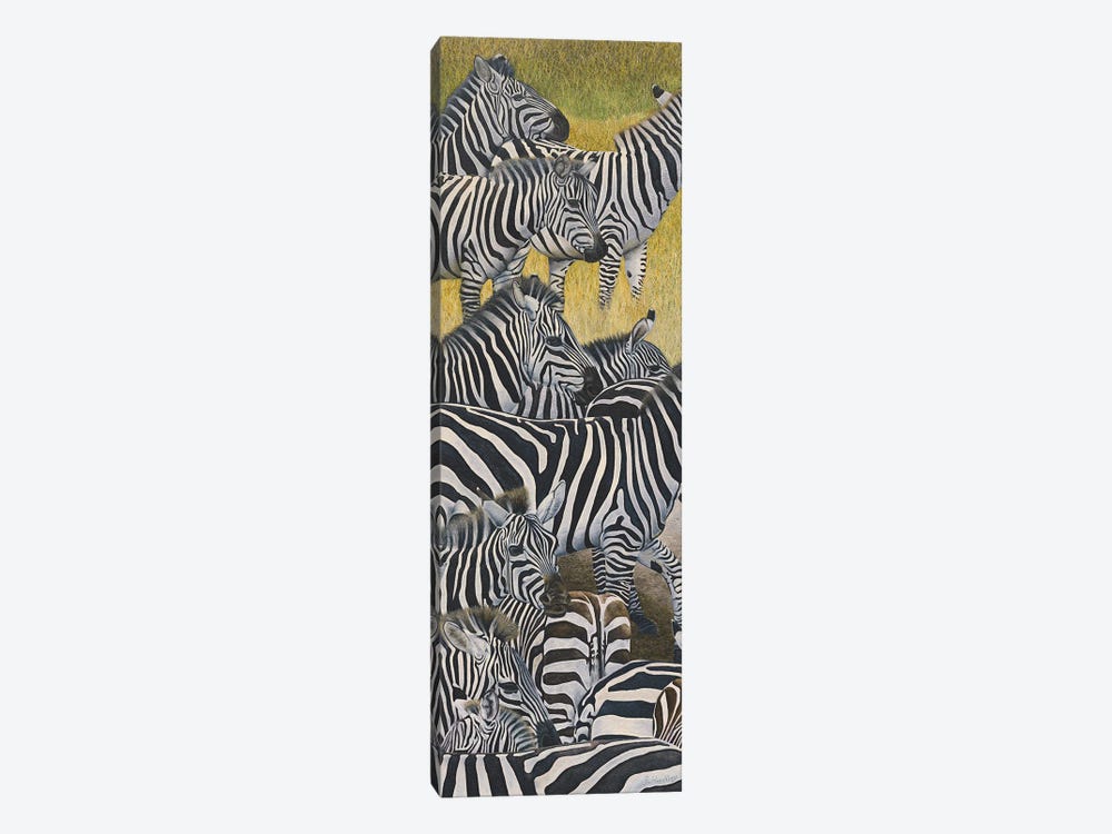 Zebra Crossing II by Russell Hinckley 1-piece Canvas Art