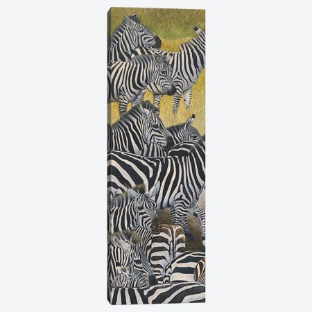 Zebra Crossing II Canvas Print #RHY29} by Russell Hinckley Art Print