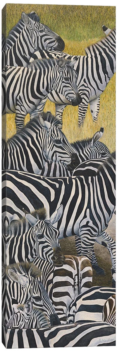 Zebra Crossing II Canvas Art Print - Russell Hinckley