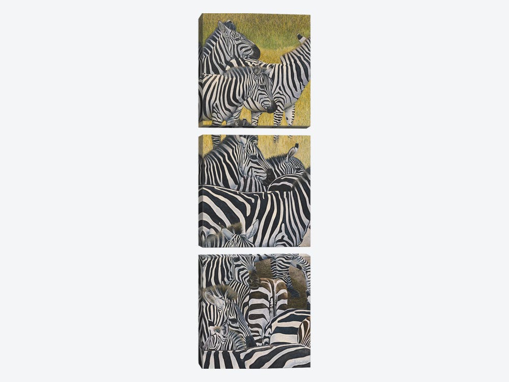 Zebra Crossing II by Russell Hinckley 3-piece Canvas Artwork