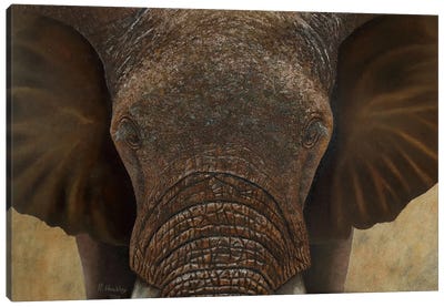 Elephant II Canvas Art Print - Russell Hinckley