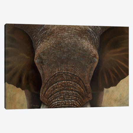 Elephant II Canvas Print #RHY2} by Russell Hinckley Art Print