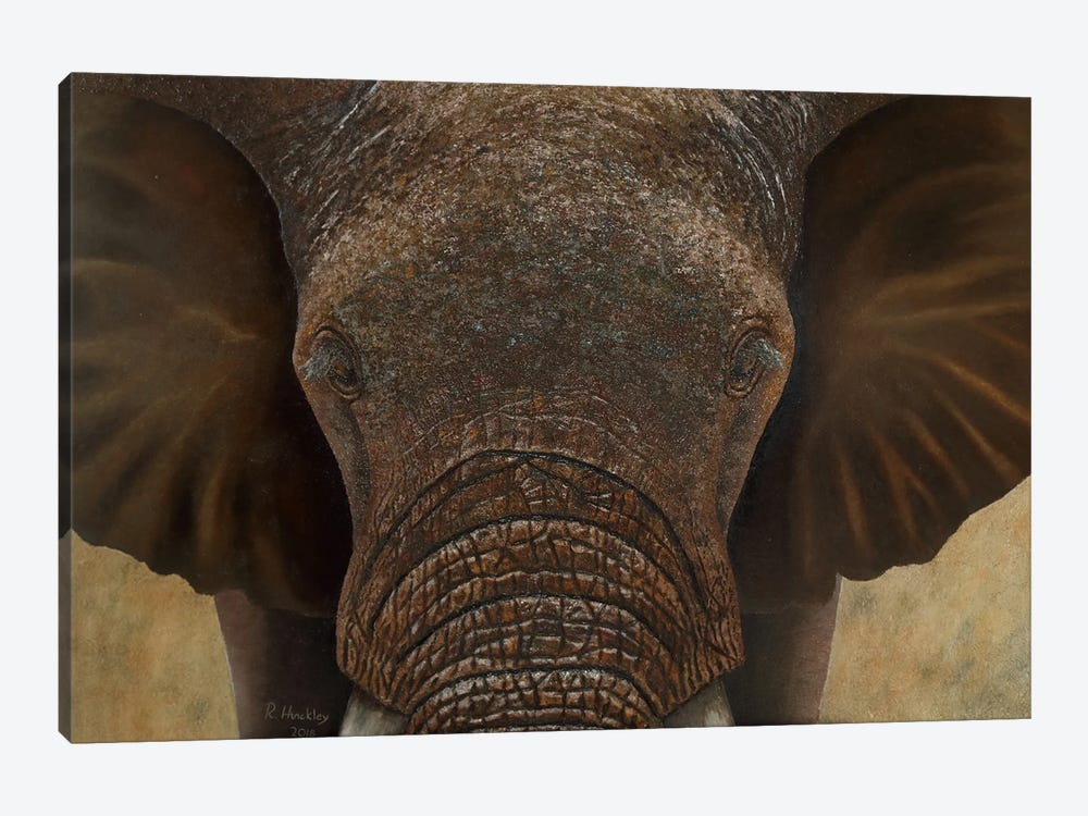 Elephant II by Russell Hinckley 1-piece Canvas Art Print