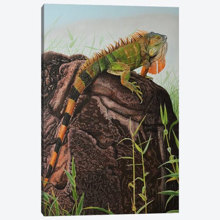 Green Iguana Canvas Print #RHY31} by Russell Hinckley Canvas Art