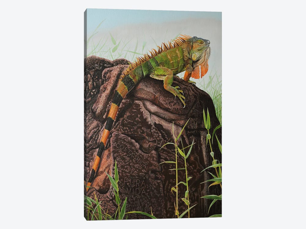 Green Iguana by Russell Hinckley 1-piece Canvas Print