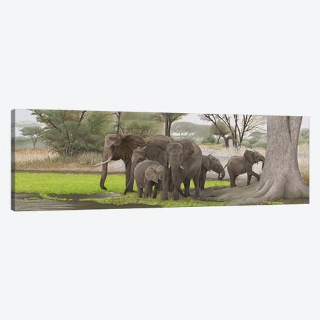 Elephants In The Shade Canvas Print #RHY3} by Russell Hinckley Canvas Art Print