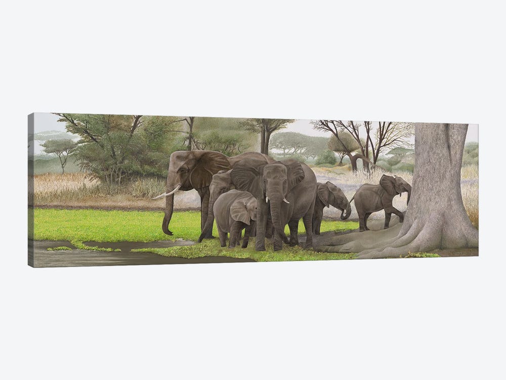 Elephants In The Shade by Russell Hinckley 1-piece Canvas Art