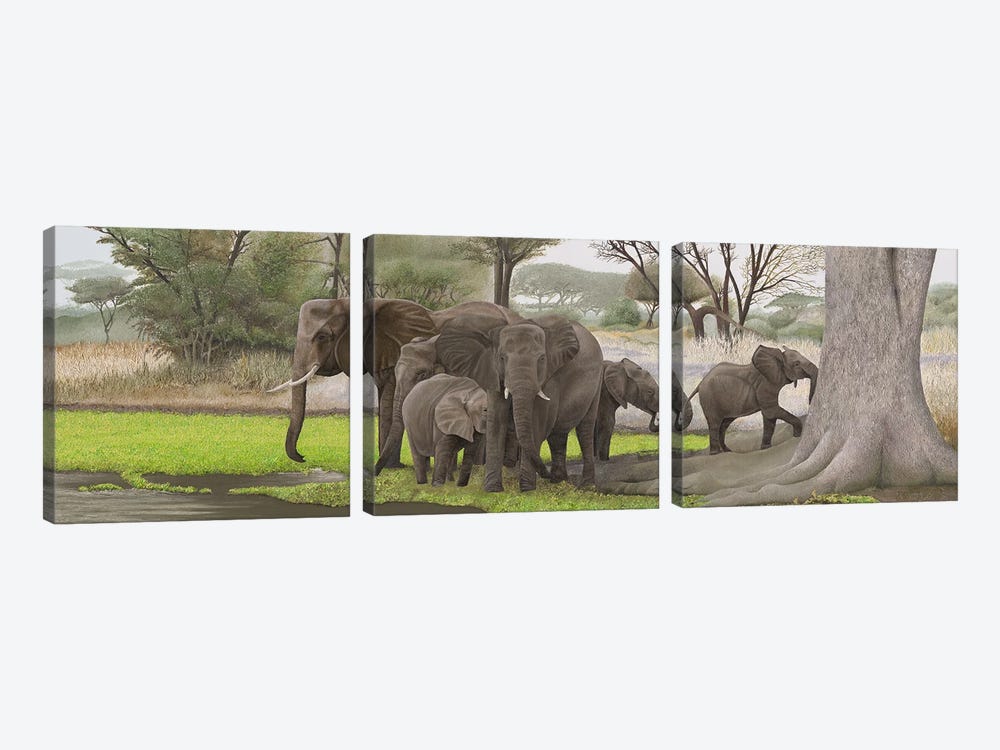 Elephants In The Shade by Russell Hinckley 3-piece Canvas Art