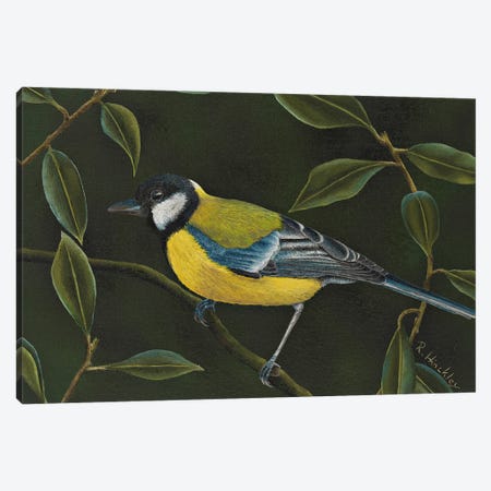 Great Tit Canvas Print #RHY6} by Russell Hinckley Canvas Art
