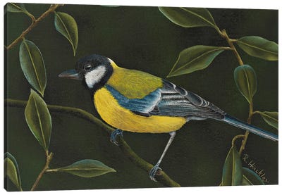 Great Tit Canvas Art Print - The Art of the Feather