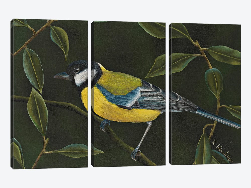 Great Tit by Russell Hinckley 3-piece Canvas Print