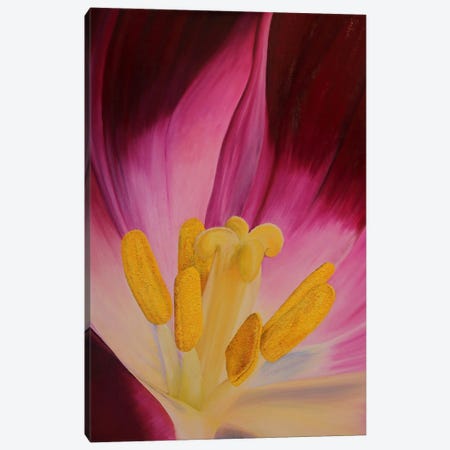 Heart Of Tulip Canvas Print #RHY8} by Russell Hinckley Canvas Print