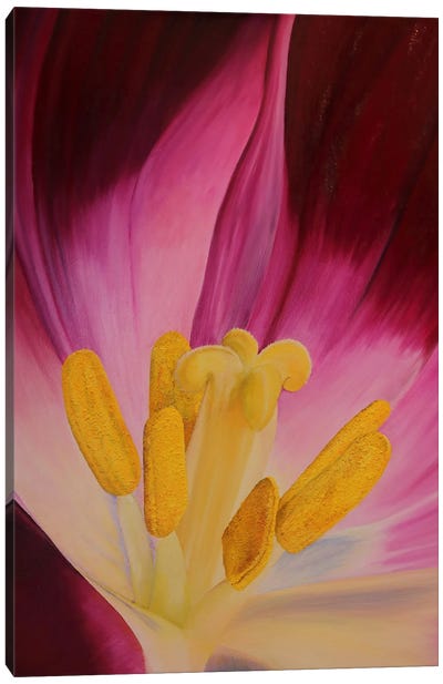 Heart Of Tulip Canvas Art Print - Tulip Art