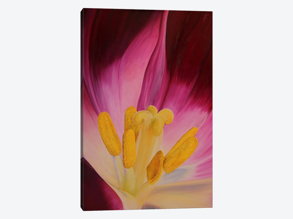 Heart Of Tulip by Russell Hinckley 1-piece Art Print