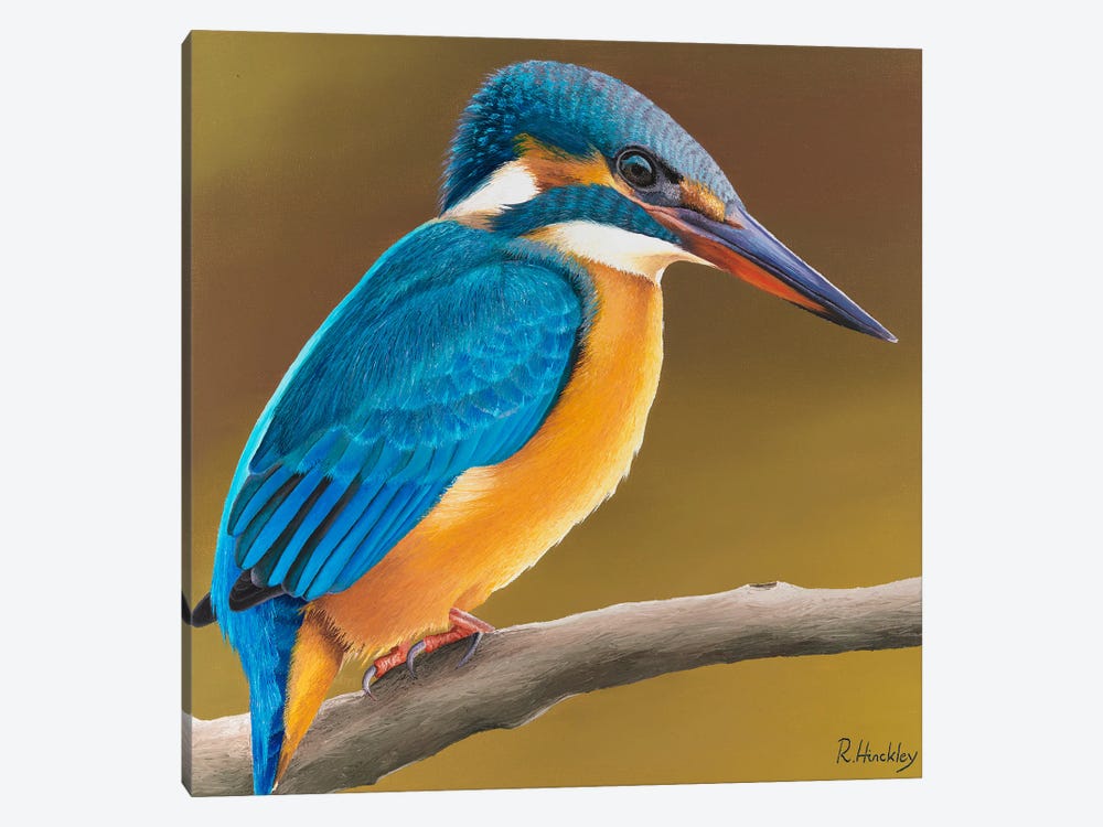 Kingfisher by Russell Hinckley 1-piece Canvas Artwork