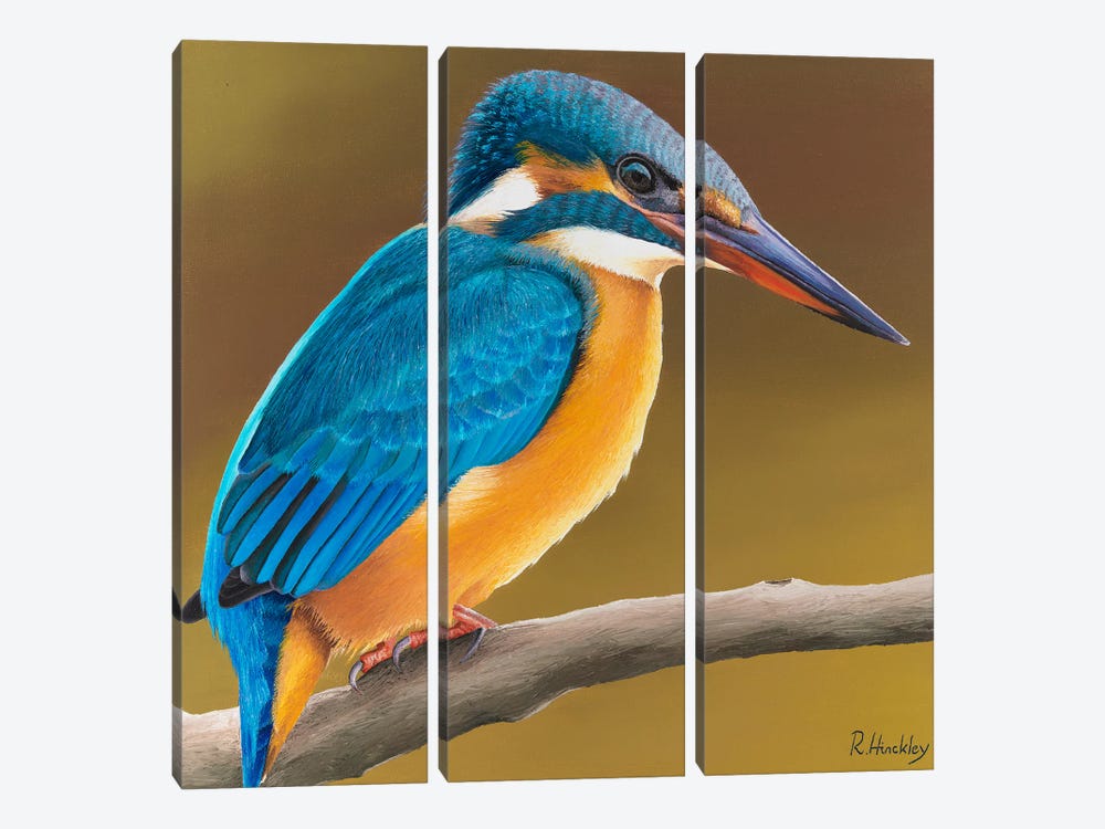 Kingfisher by Russell Hinckley 3-piece Canvas Wall Art